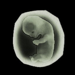 子归全成就一览(图51) 子归全成就一览(图51)